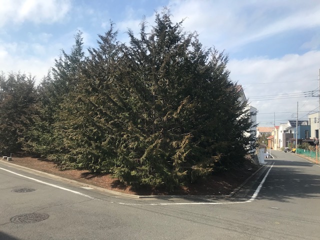 下鶴間　山谷北区画整理地　売地